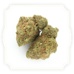 Load image into Gallery viewer, Amne-Zia CBD bud close up on white background
