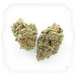 Load image into Gallery viewer, Drizzle CBD flower close up on white background
