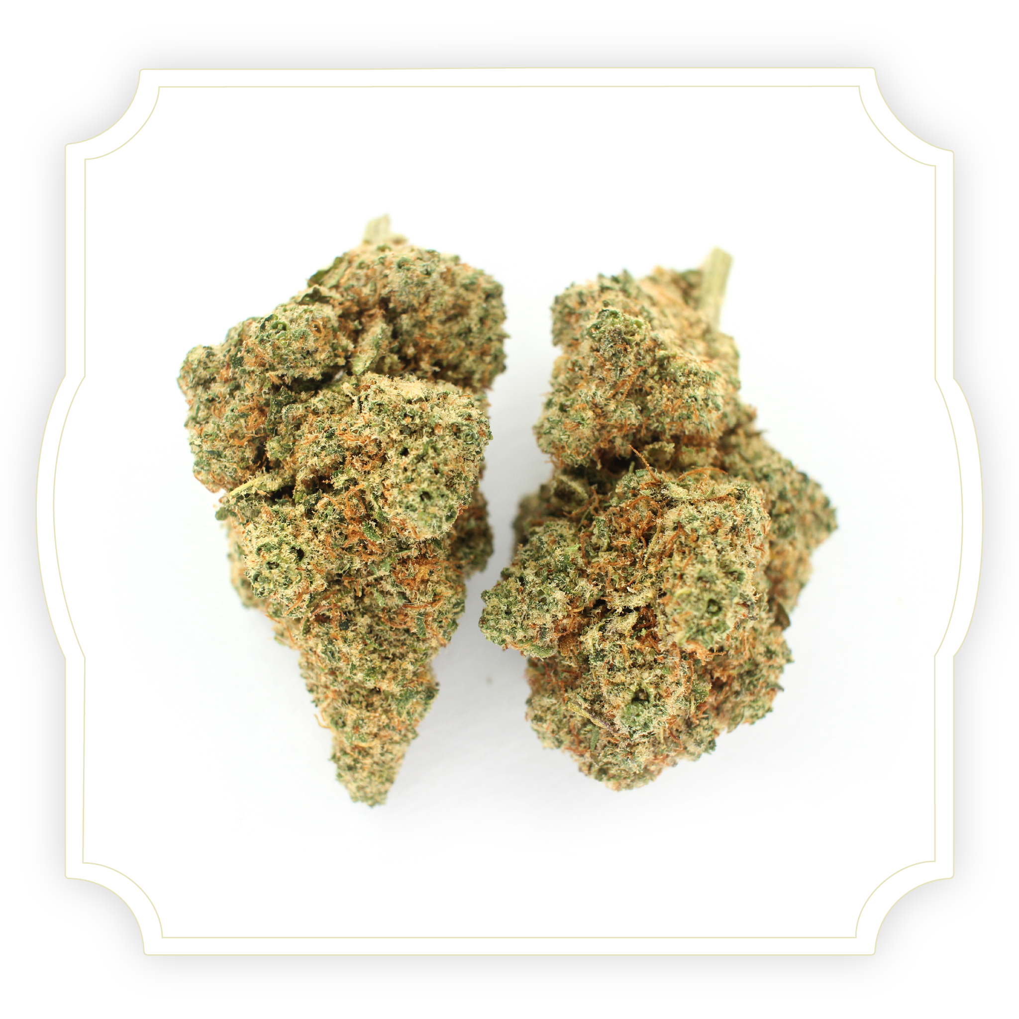 Key Lime Pie | CBD Hemp Flower