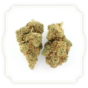 Key Lime Pie | CBD Hemp Flower