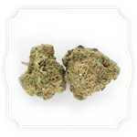 Load image into Gallery viewer, Pineapple Express CBD bud close up on white background
