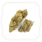 Load image into Gallery viewer, Rambo Cheese CBD flower close up on white background
